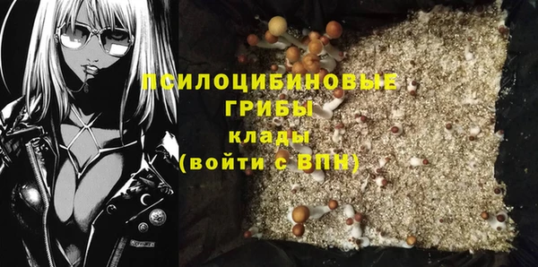 молекула духа Осташков