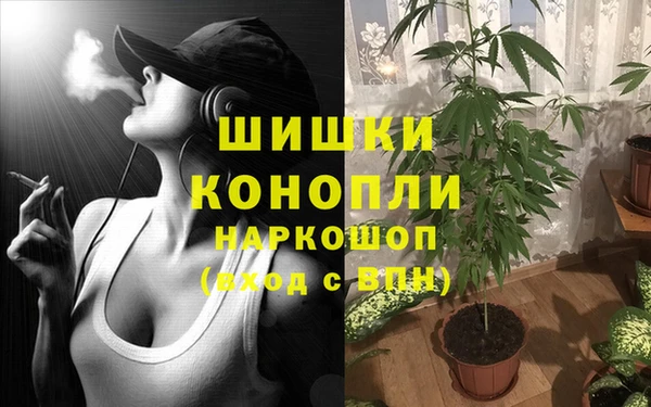 герыч Пересвет