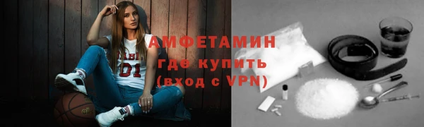 молекула духа Осташков