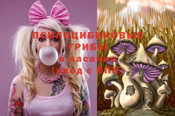 молекула духа Осташков