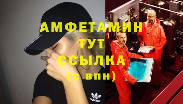 молекула духа Осташков