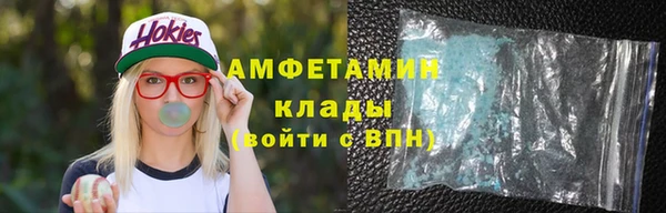молекула духа Осташков