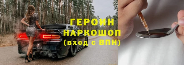 молекула духа Осташков