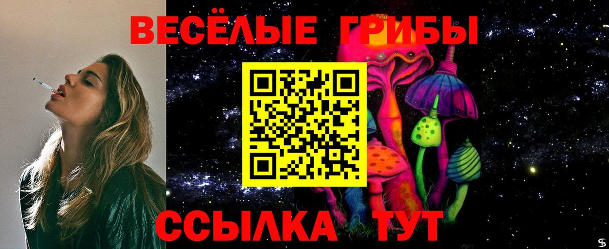 Псилоцибиновые грибы Magic Shrooms Волжск