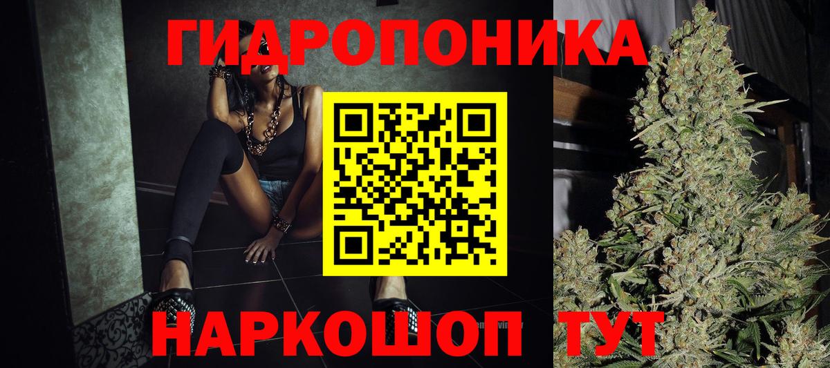 Марихуана сатива  Волжск  Бошки Шишки White Widow  Канабис план 